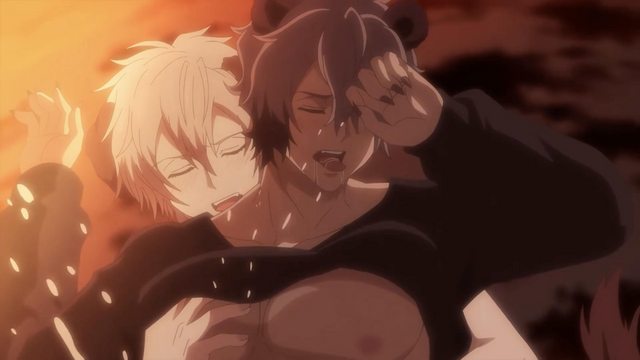 森林裡的熊先生，冬眠中。