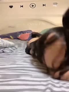 极品颜值御姐魔鬼宝宝多场无套啪啪按摩棒自慰